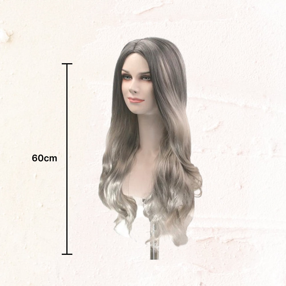 Lady Long Synthetic Wig with Silver Highlights #2/0906