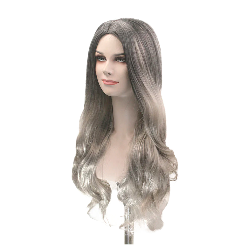 Lady Long Synthetic Wig with Silver Highlights #2/0906